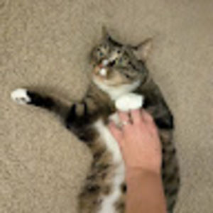 Meet your Posher, Nathan